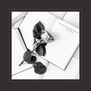 看少女性生活视频
