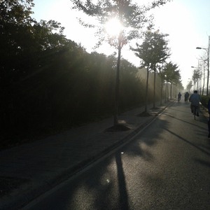 看少女性生活视频
